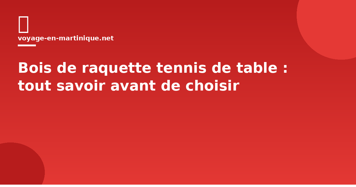 Bois de raquette tennis de table : tout savoir avant de choisir (guide 2026)
